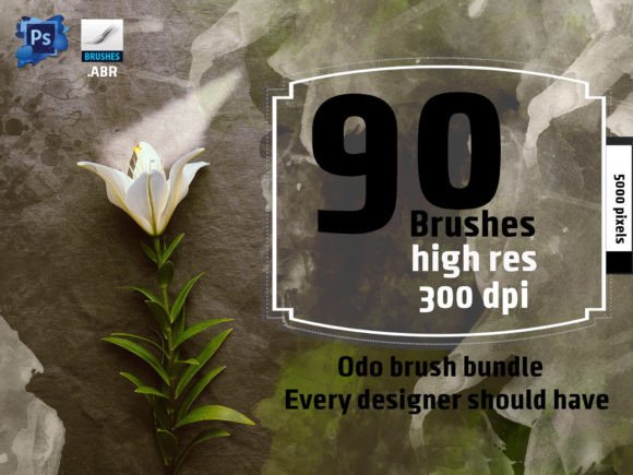 Mastering Digital Art with High-Resolution Realistic Brushes